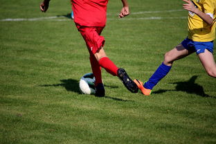 乐鱼体育下载入口-体育文化节活动预告，体育文化节活动流程