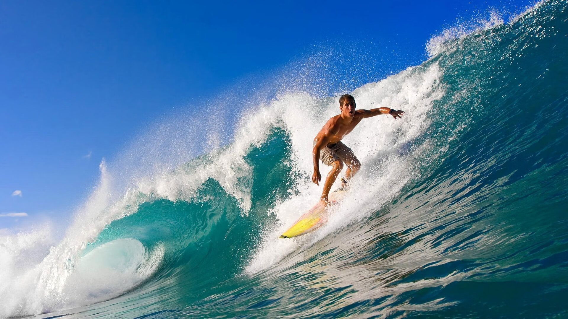 游泳技术动作与国际标准同步，游泳动作专业术语